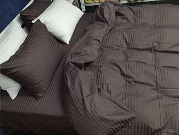 Сатин Stripe ELITE, CHOCOLATE 1/1см (Сімейний)