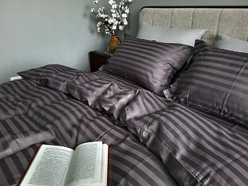 Stripe PREMIUM, ROYAL GRAY 2/2см (Євро)