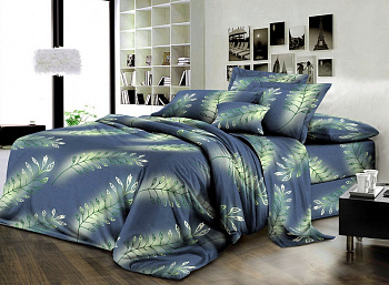 Чародійка, ранфорс (Полуторний)