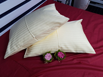 Набір нав. 2 шт. Stripe PREMIUM, CHAMPAGNE 1/1см (Набір 70*70см)