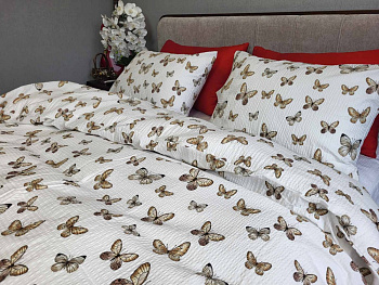 Політ, GOFRE (Двосп. на рез.)