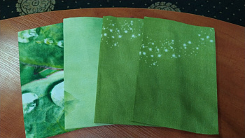 Набір наволочок 4 шт., МІКС 50/70см № 276 (Набір 50*70см)