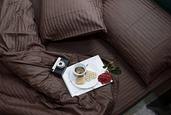 Stripe LUX CHOCOLATE 1/1см (Євро)