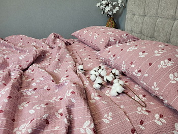 Вербена рожевий, GOFRE (Полут. на рез.)