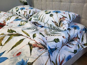 Волошки, Turkish flannel (Сімейний)