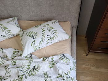 Оливкове гілля, GOFRE DUO (Сімейний)