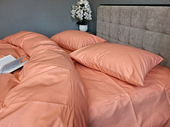 SOLO №593, cotton (Сімейний)