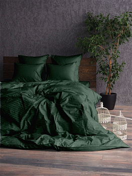 Stripe LUX GREEN 1/1см (Євро)