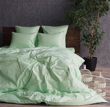 Stripe LUX SOFT MINT 1/1см (Євро)