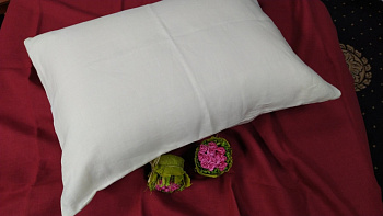 Нав. -1шт Ванільний шампань, льон 100% (Набір 50*50см)