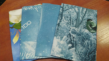 Набір наволочок 4 шт., 40/60см №112 (Набір 40*60см)