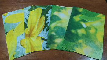 Набір наволочок 4 шт.,100%бавовна 50/70см №  174 (Набір 50*70см)