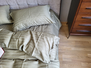 MULTI stripe RIPE OLIVE (Євро)