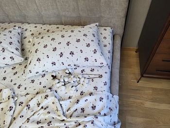 Бланка, GOFRE (Євро на рез.)