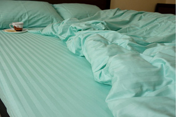 Stripe LUX MINT 1/1см (Євро)